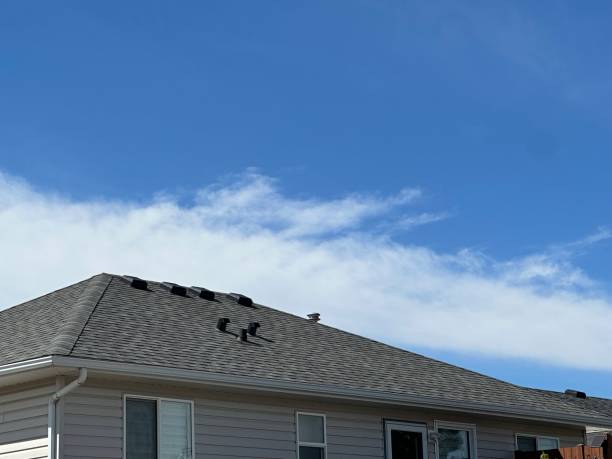 Best Rubber Roofing (EPDM, TPO)  in Orwigsburg, PA